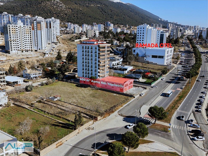 ALP ASİSTANLIK'TAN HG HOSPITAL KARŞISI BULVAR ÜZERİ GENİŞ İŞYERİ - 5. küçük görsel