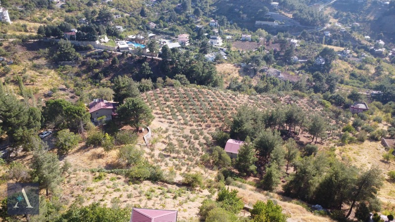 ALP ASİSTANLIK'TAN KAZMA YERLEŞKESİNDE MÜKEMMEL MANZARALI BAĞ - 12. küçük görsel