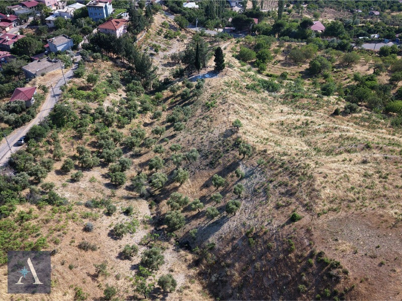 ALP ASİSTANLIK'TAN AYAKLICAOLUK'TA YOLA YAKIN 4,5 DÖNÜM BAĞ YERİ - 6. küçük görsel