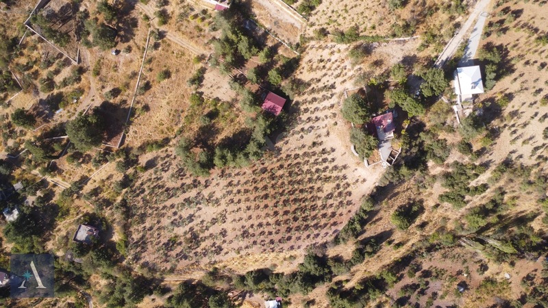 ALP ASİSTANLIK'TAN KAZMA YERLEŞKESİNDE MÜKEMMEL MANZARALI BAĞ - 10. küçük görsel