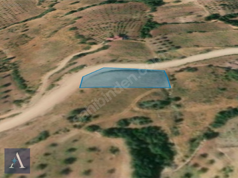 ALP ASİSTANLIK'TAN AĞABEYLİ MHDE 1460 M² SATILIK BAĞ YERİ - 3. küçük görsel