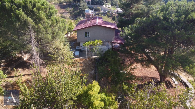 ALP ASİSTANLIK'TAN KAZMA YERLEŞKESİNDE MÜKEMMEL MANZARALI BAĞ - 17. küçük görsel