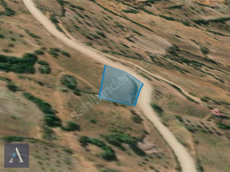 ALP ASİSTANLIK'TAN AĞABEYLİ MHDE 1460 M² SATILIK BAĞ YERİ - 6. küçük görsel