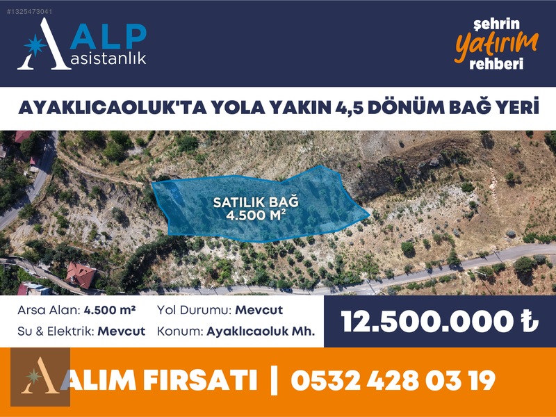 ALP ASİSTANLIK'TAN AYAKLICAOLUK'TA YOLA YAKIN 4,5 DÖNÜM BAĞ YERİ - 2. küçük görsel