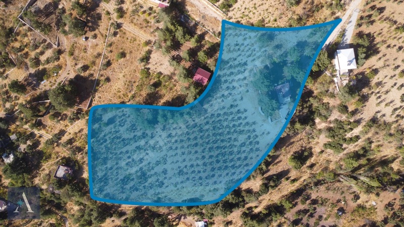 ALP ASİSTANLIK'TAN KAZMA YERLEŞKESİNDE MÜKEMMEL MANZARALI BAĞ - 11. küçük görsel