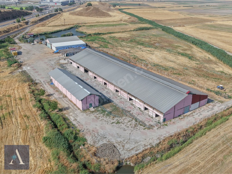 ALP ASİSTANLIK'TAN AVRUPA STANDARTLARINA UYGUN SATILIK ÇİFTLİK - 7. küçük görsel
