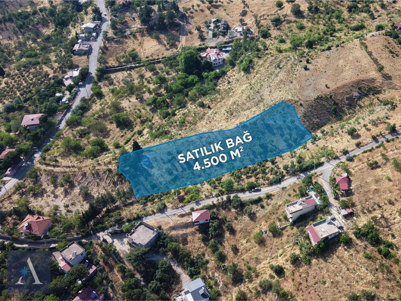 ALP ASİSTANLIK'TAN AYAKLICAOLUK'TA YOLA YAKIN 4,5 DÖNÜM BAĞ YERİ - 5. küçük görsel