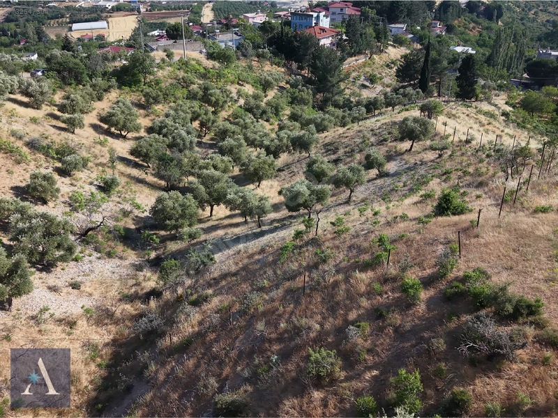 ALP ASİSTANLIK'TAN AYAKLICAOLUK'TA YOLA YAKIN 4,5 DÖNÜM BAĞ YERİ - 7. küçük görsel