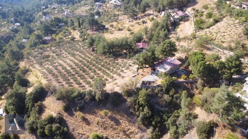 ALP ASİSTANLIK'TAN KAZMA YERLEŞKESİNDE MÜKEMMEL MANZARALI BAĞ - 4. küçük görsel