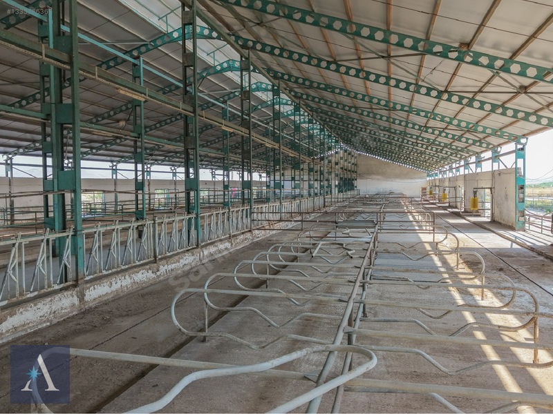 ALP ASİSTANLIK'TAN AVRUPA STANDARTLARINA UYGUN SATILIK ÇİFTLİK - 10. küçük görsel