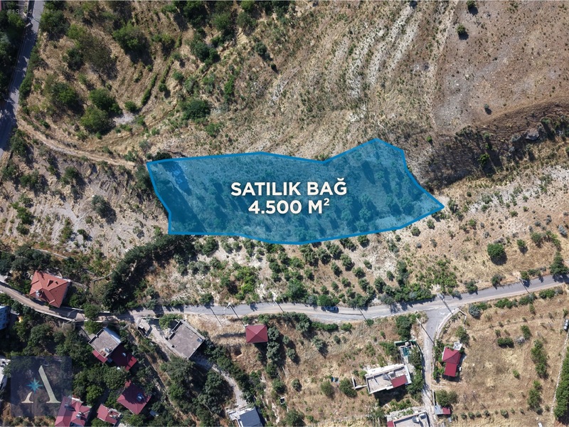 ALP ASİSTANLIK'TAN AYAKLICAOLUK'TA YOLA YAKIN 4,5 DÖNÜM BAĞ YERİ - 3. küçük görsel