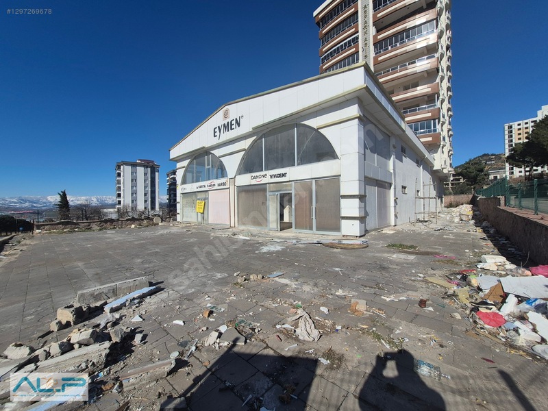 ALP ASİSTANLIK'TAN HG HOSPITAL KARŞISI BULVAR ÜZERİ GENİŞ İŞYERİ - 11. küçük görsel