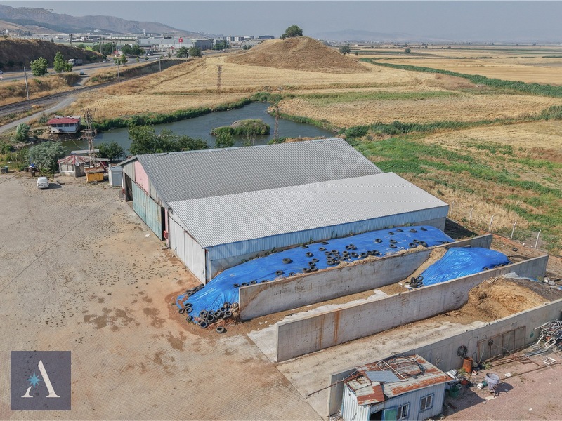 ALP ASİSTANLIK'TAN AVRUPA STANDARTLARINA UYGUN SATILIK ÇİFTLİK - 6. küçük görsel